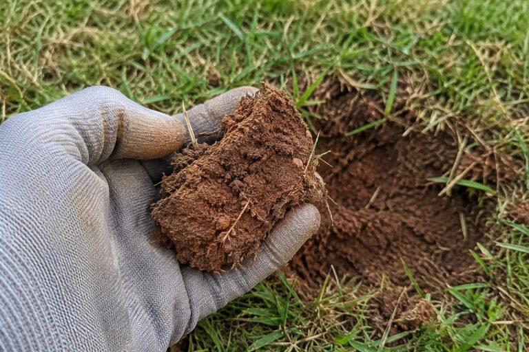 Gloved hand holding red Georgia clay soil